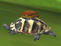 小乌龟(3D版)