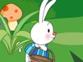 小兔子采蘑菇_乘法应用题