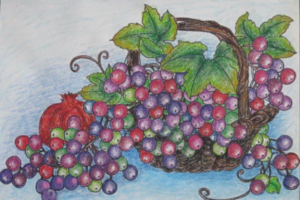 儿童画多彩葡萄_六一儿童网