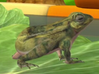 我爱小青蛙(3D版)