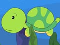 小乌龟找鲤鱼医生