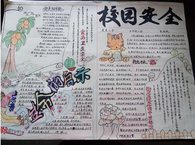 生命的启示_手抄报