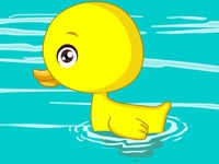 为什么鸭子会游泳？