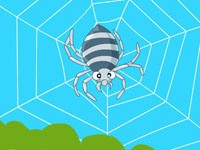 为什么蜘蛛不会被自己的网粘住？