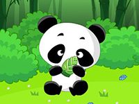 为什么称熊猫为“中国的国宝”