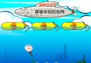泡头术