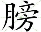 膀