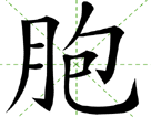胞