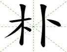 朴