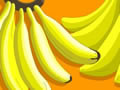 你能分出香蕉和芭蕉吗