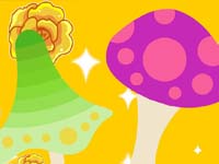 为什么漂亮的蘑菇不能乱吃