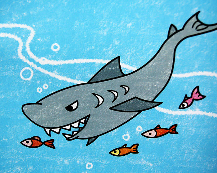 鲨鱼 海豚卡通