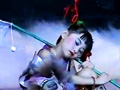 天井夜画
