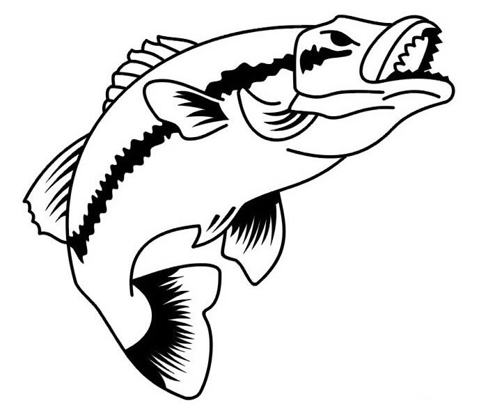 远古鱼简笔画图片